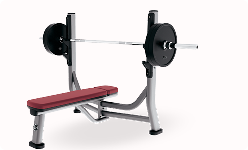 奧林匹克水平推舉椅