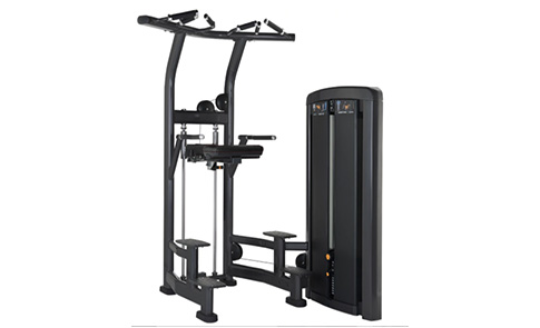 力健 引體上升訓(xùn)練器