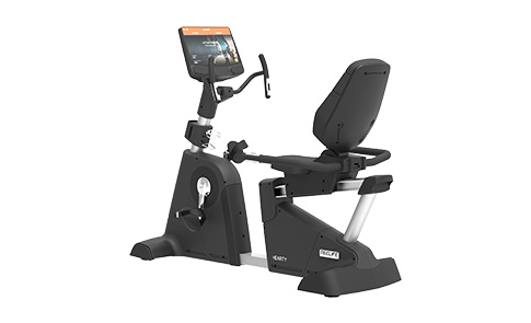 HEARTY 系列 靠背式功率自行車