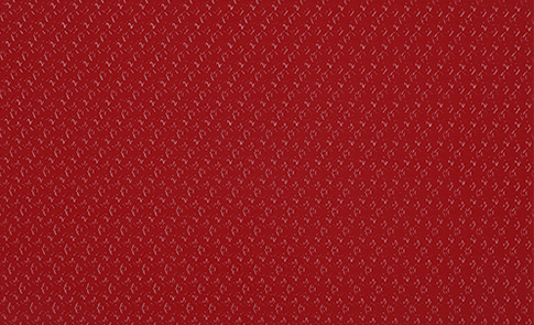  LOGO紋PVC運動地板