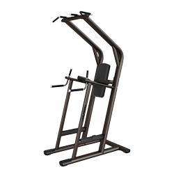 單雙杠及提腿腹肌組合練習(xí)器 單雙杠及提腿腹肌組合練習(xí)器