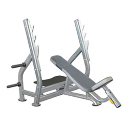 奧林匹克斜上推舉椅 奧林匹克斜上推舉椅