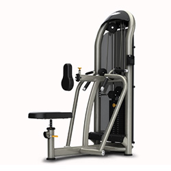 雙軸坐式劃船訓練機