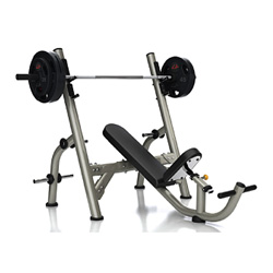 奧林匹克上斜椅